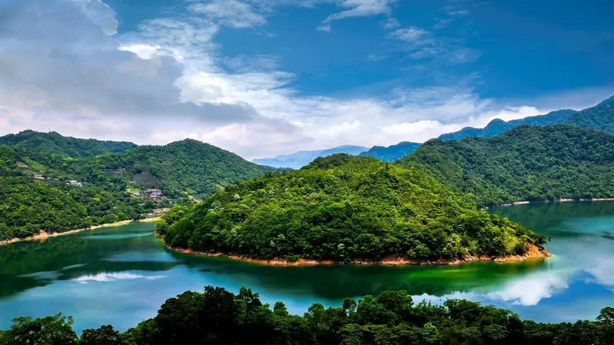 高效自动化